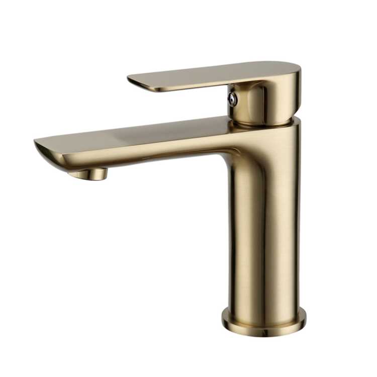 YT-1-0007G Basin mixer.jpg